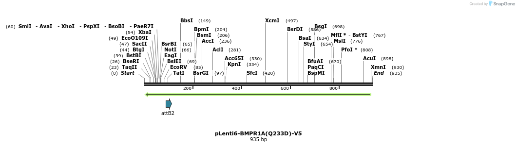 46223_map
