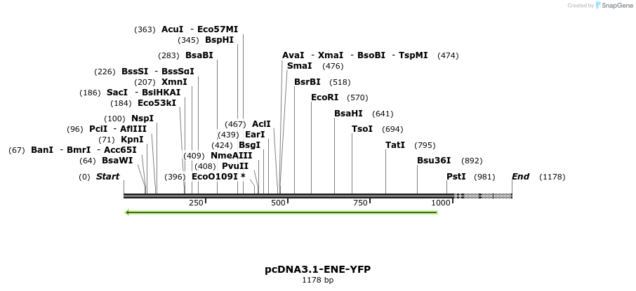 462287_map