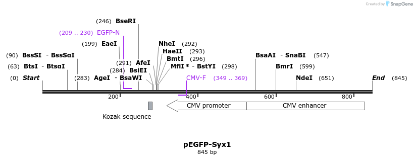 46231_map