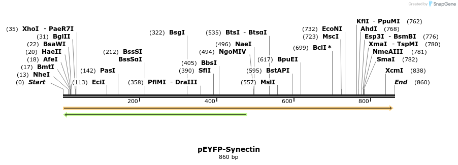 46237_map