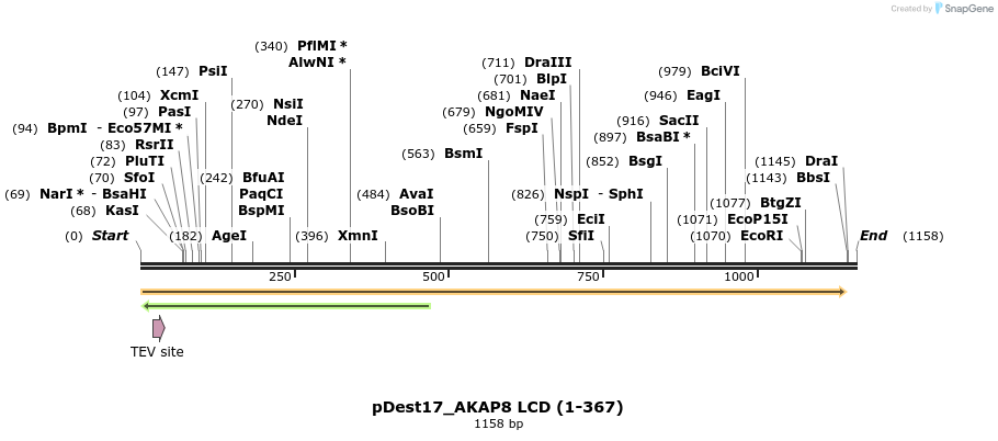 462429_map