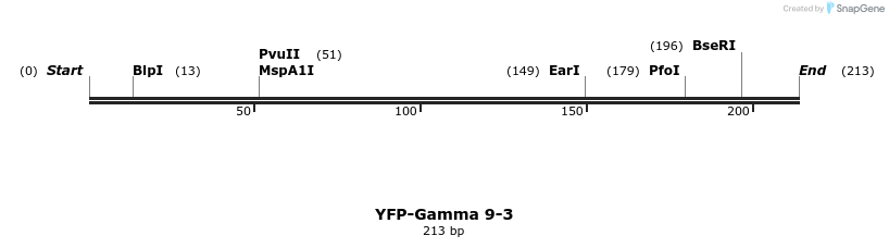 46245_map