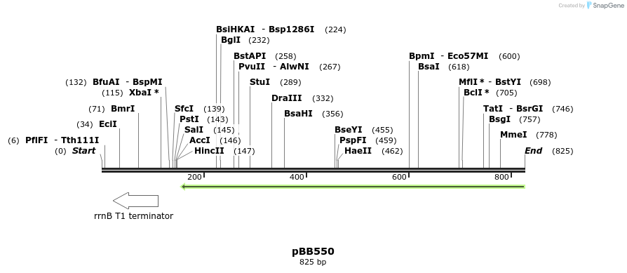 46250_map