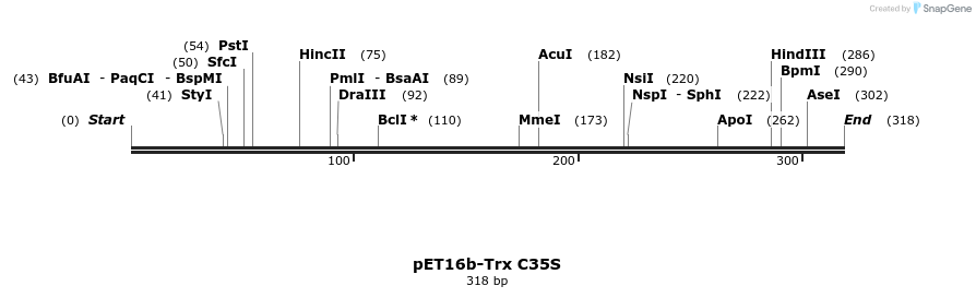 46251_map