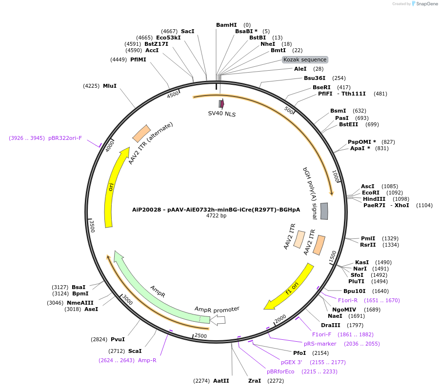 462512_map