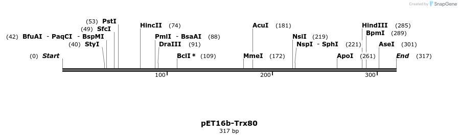 46252_map