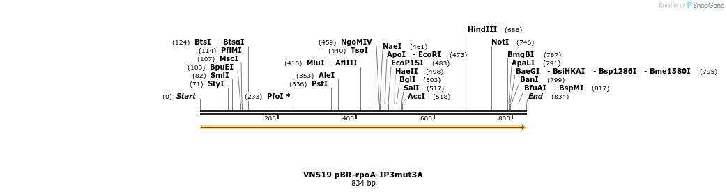 462544_map
