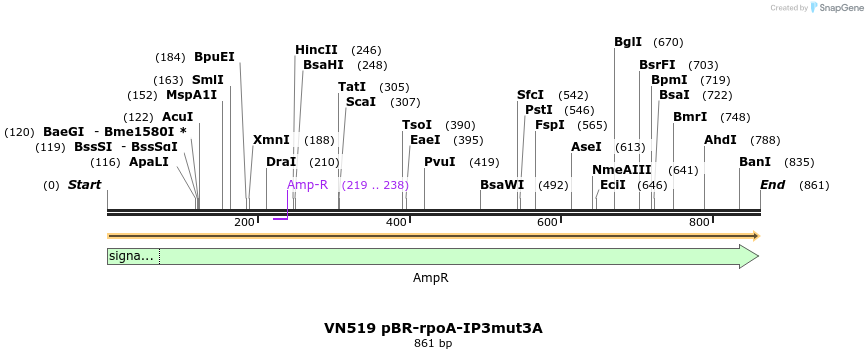 462545_map