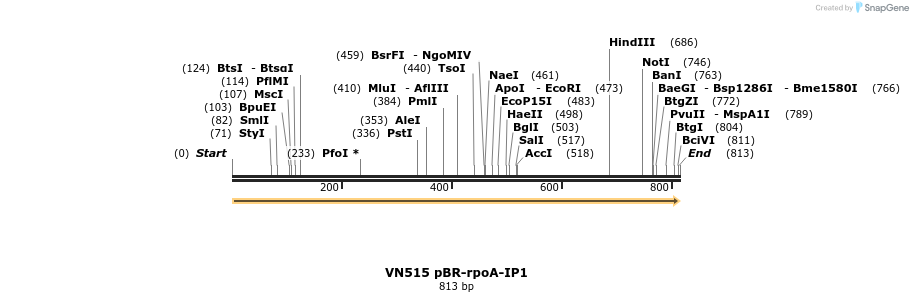 462546_map
