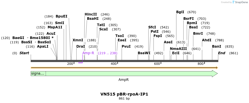462547_map