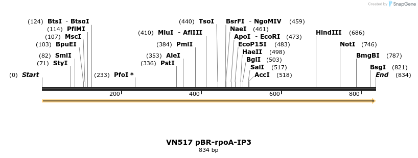 462550_map