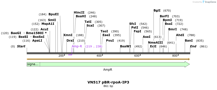 462551_map