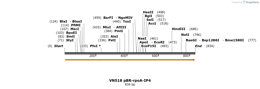462552_map