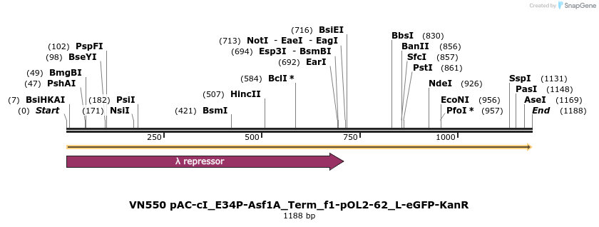 462554_map