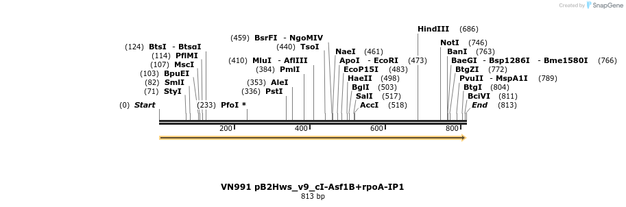 462561_map
