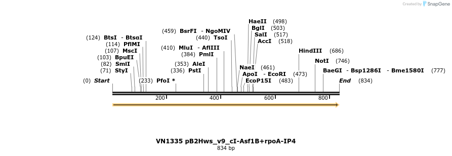 462567_map