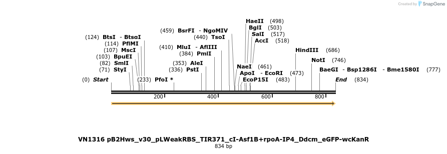 462577_map