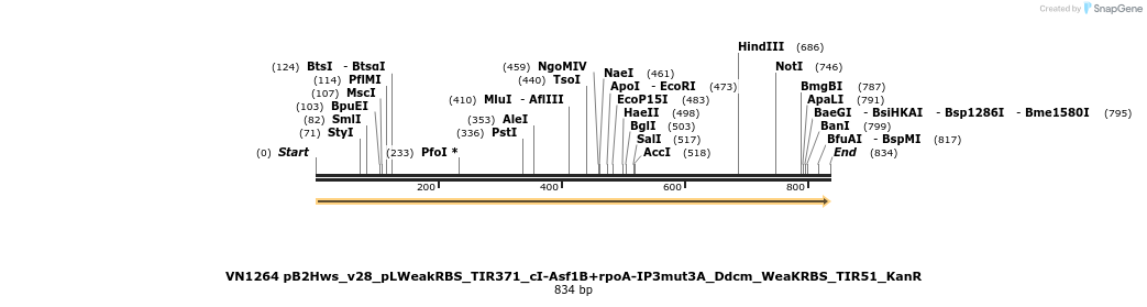 462579_map
