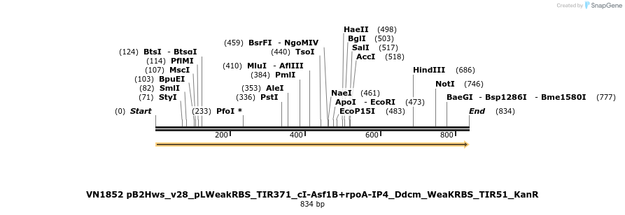 462587_map