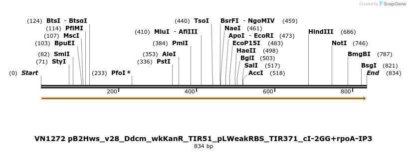 462590_map