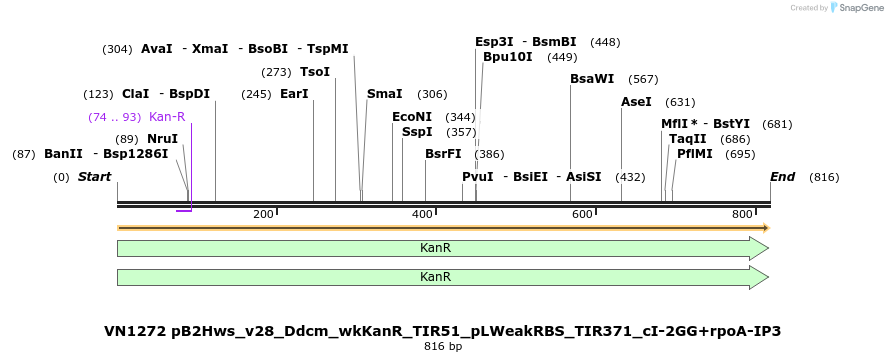 462591_map