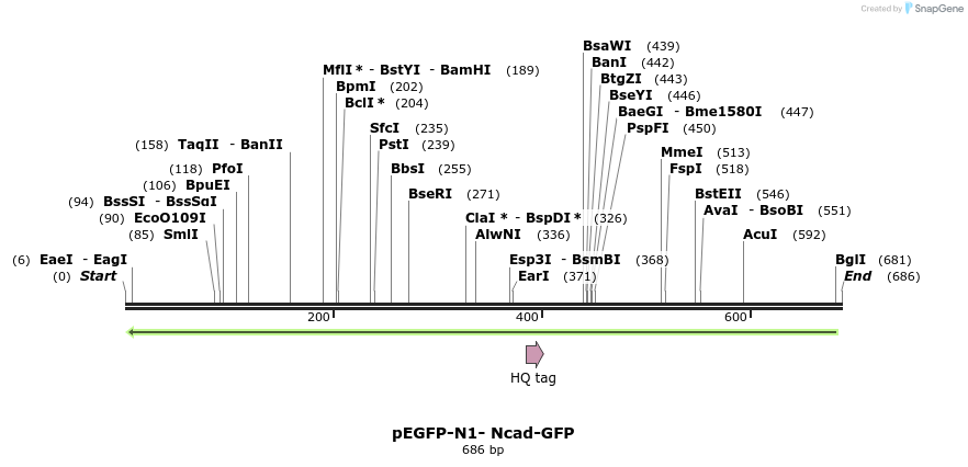 46260_map