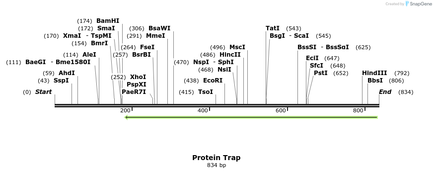 46267_map