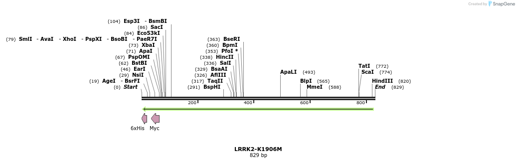 46269_map