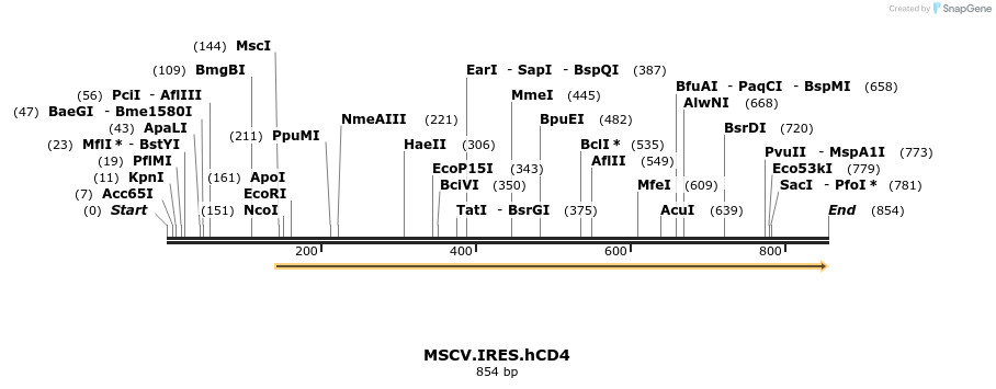46271_map