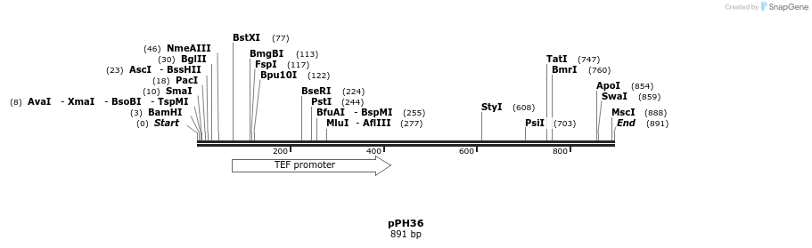 46275_map