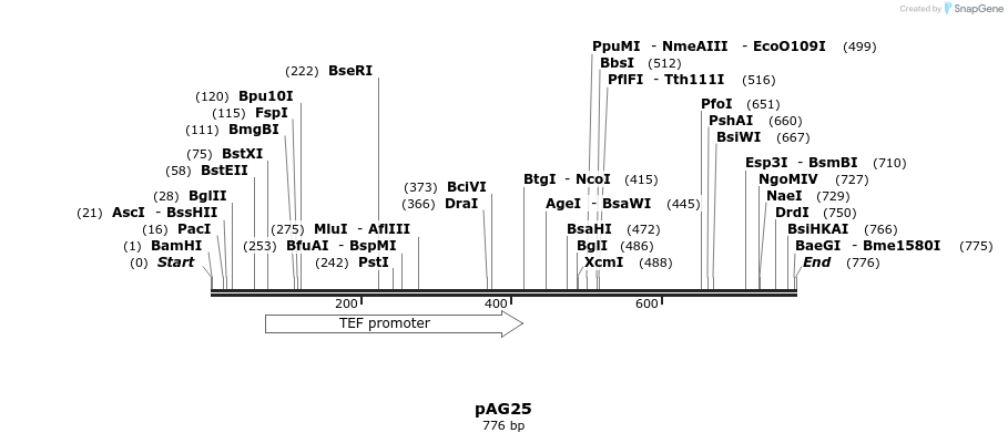 46286_map
