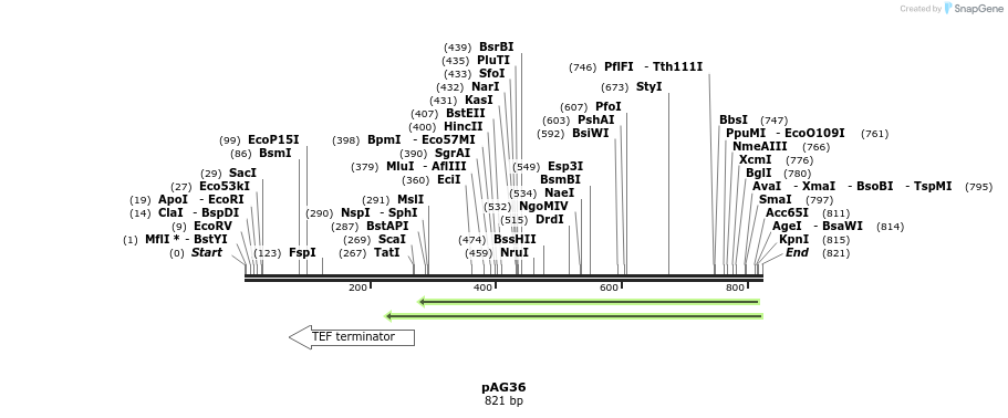 46290_map