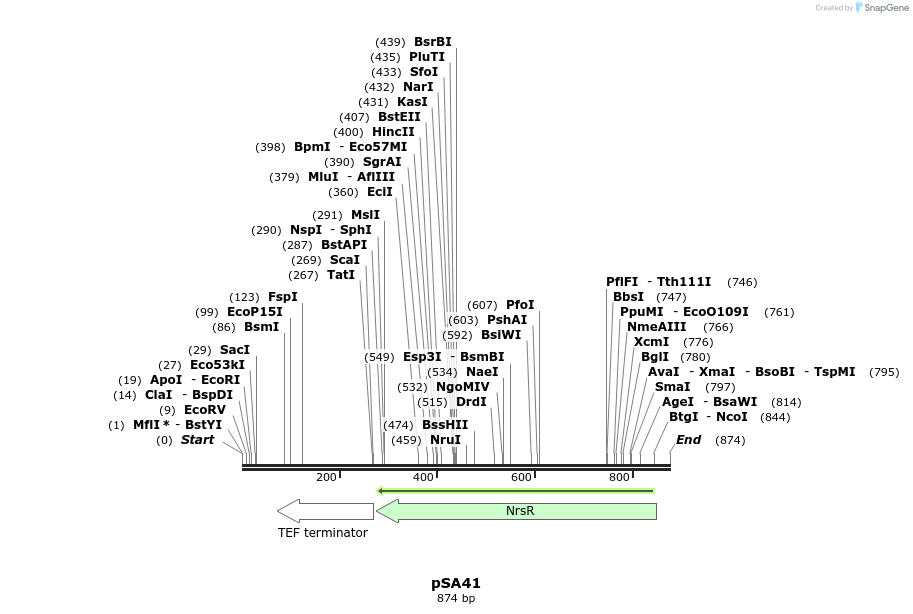 46291_map