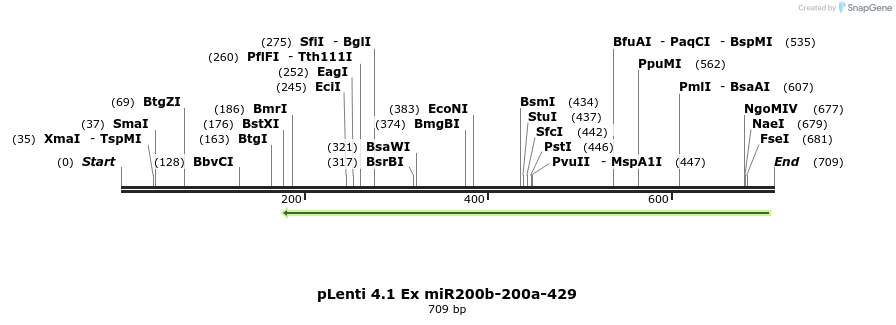 46297_map