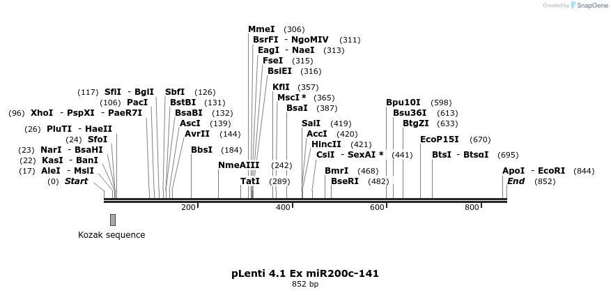 46298_map