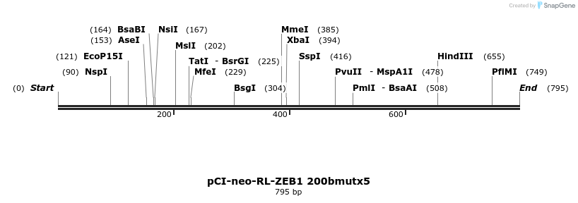 46300_map