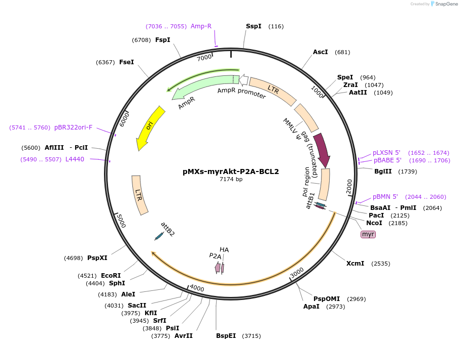 463020_map