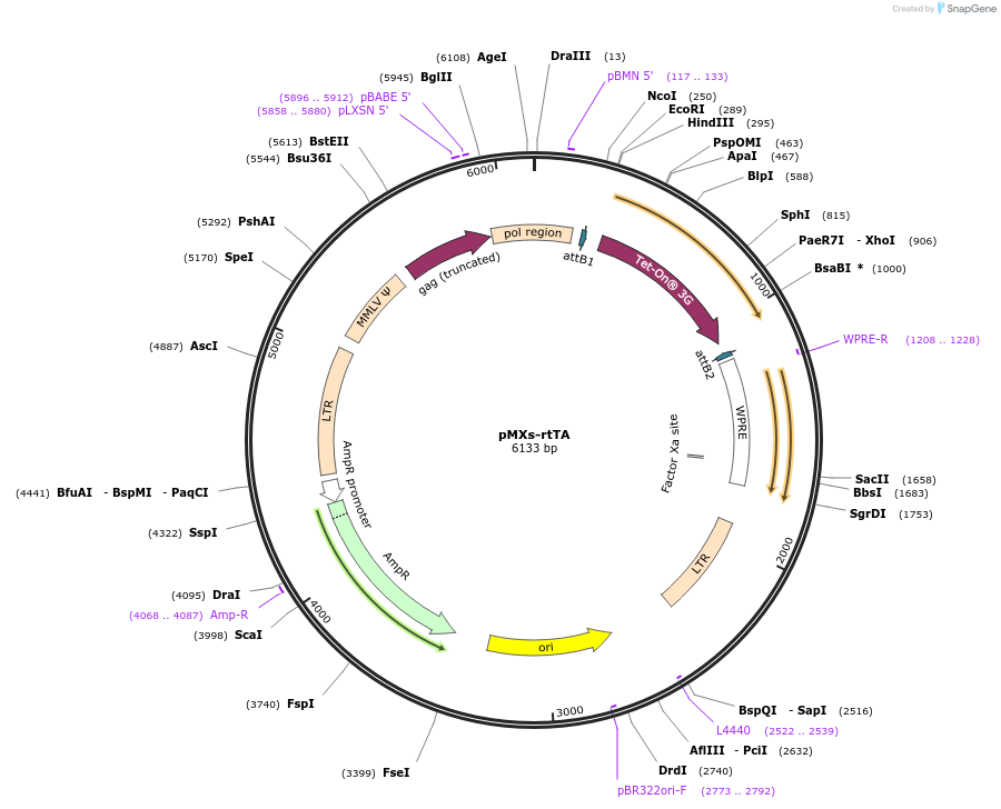 463025_map