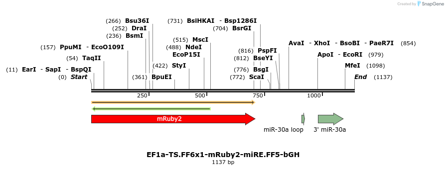 463139_map