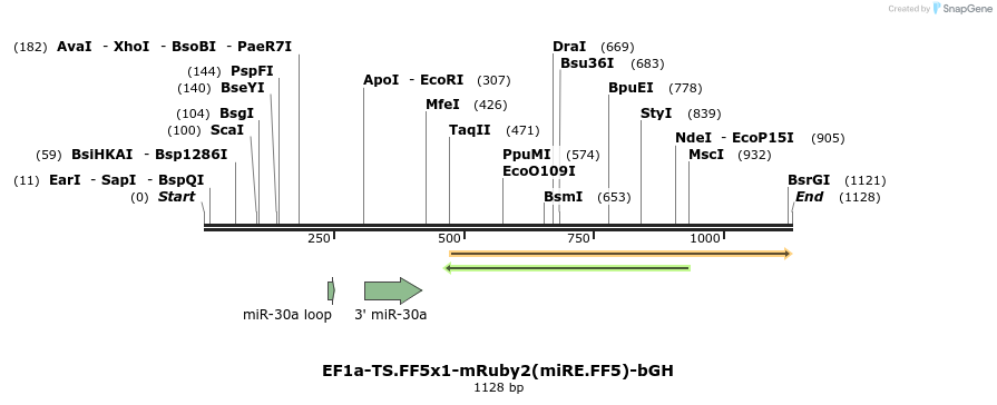 463149_map