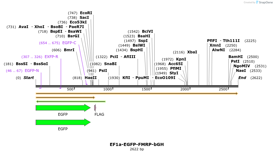 463153_map