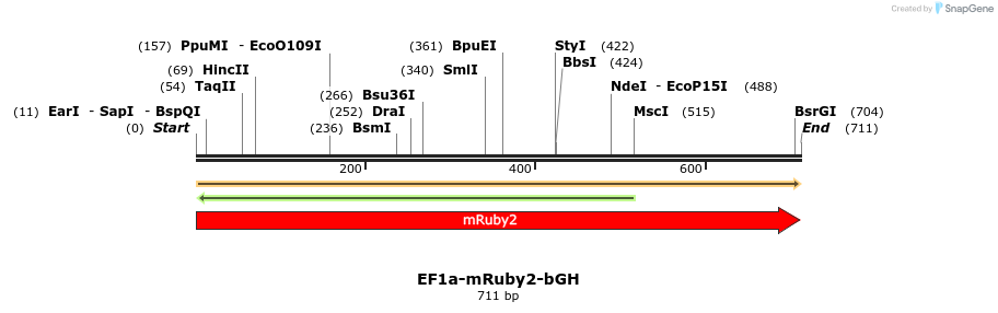 463162_map
