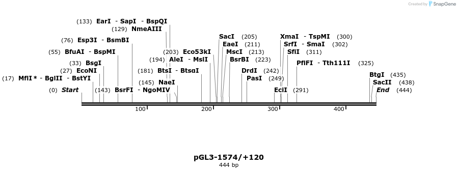 46317_map