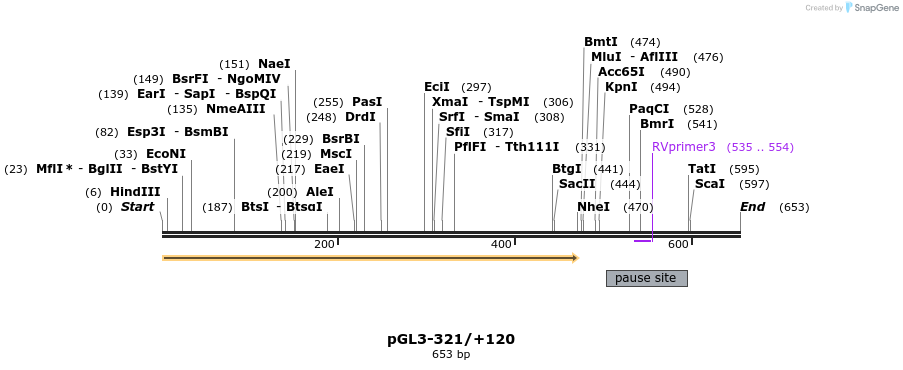 46318_map