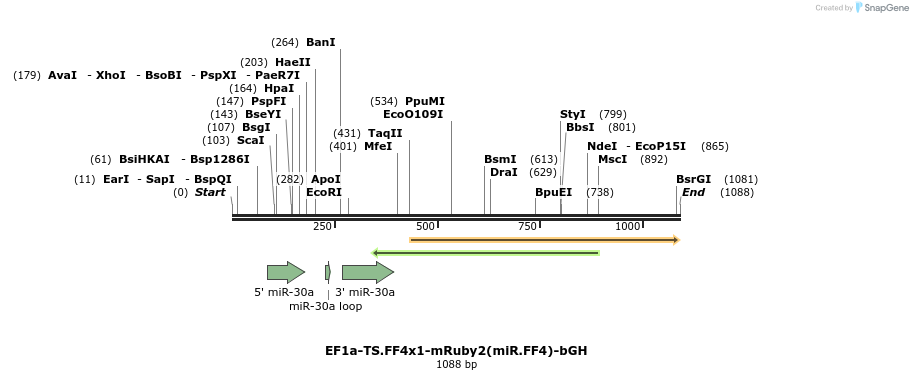 463194_map