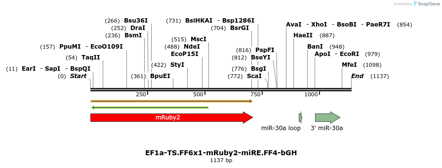 463204_map