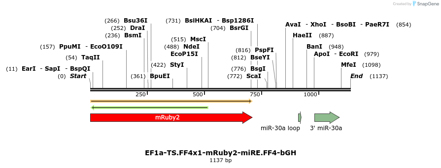 463206_map