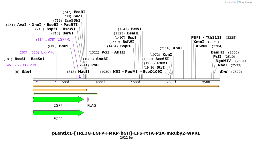 463242_map