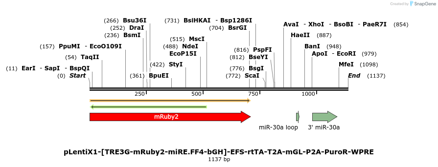 463274_map
