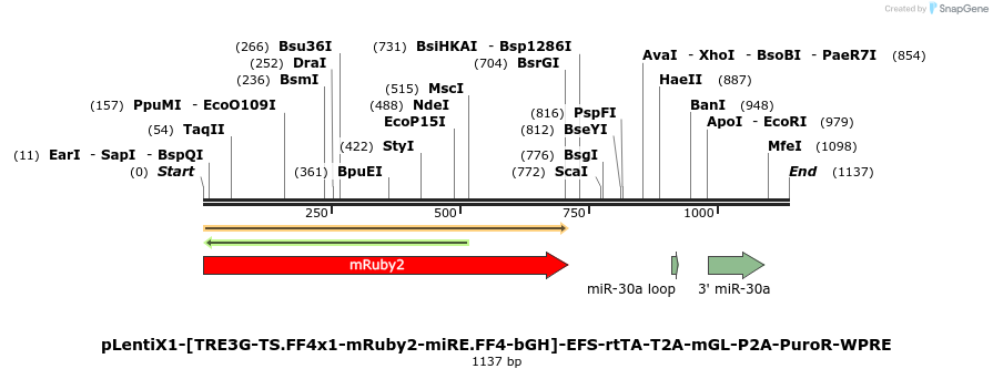 463292_map
